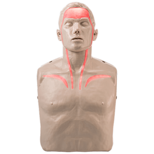Training Manikins